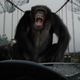 Image for article titled Upcoming Movie Sequels that Actually Have a Reason to Exist